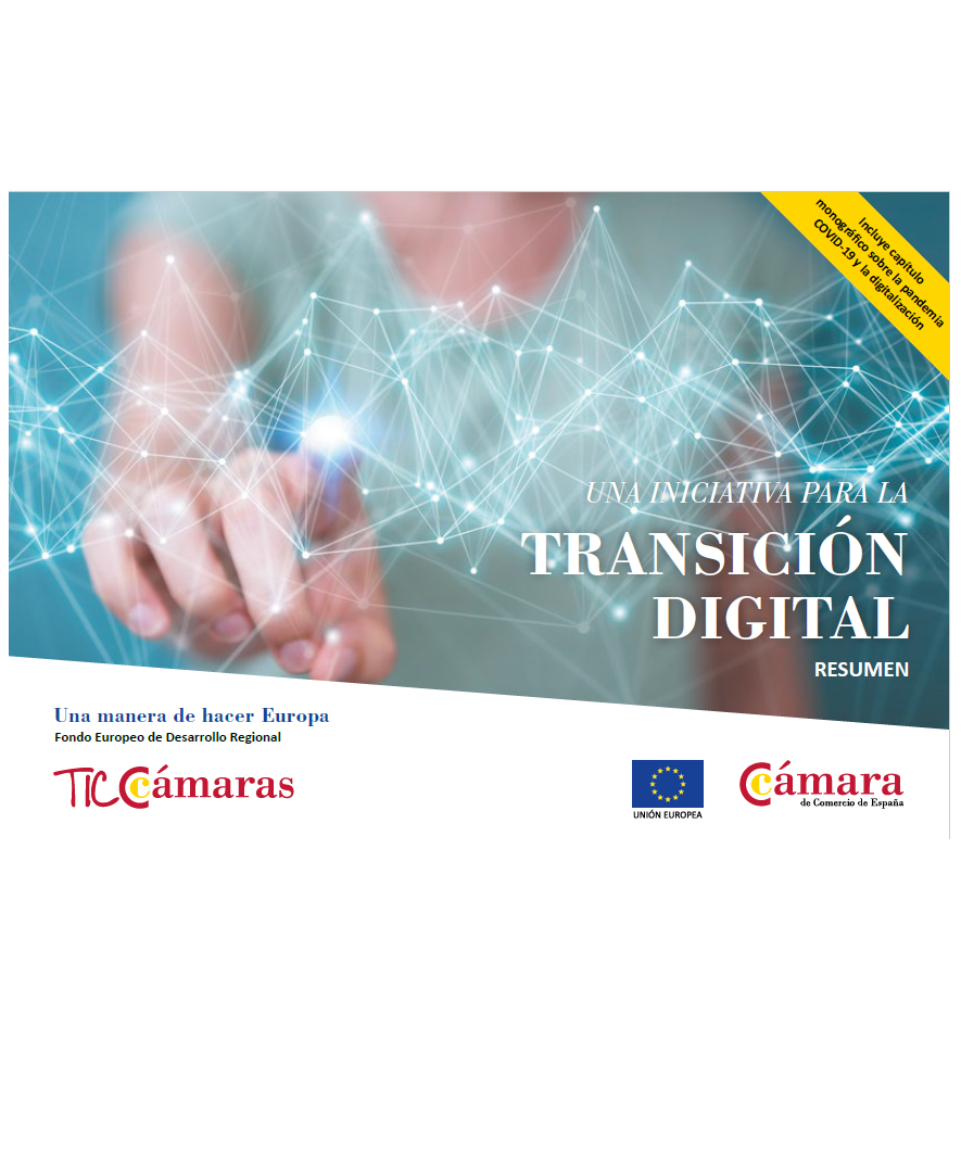 Una iniciativa para la transición digital. Resumen.