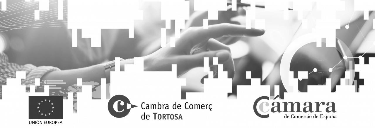 Digitalizacion palanca competitividad pymes